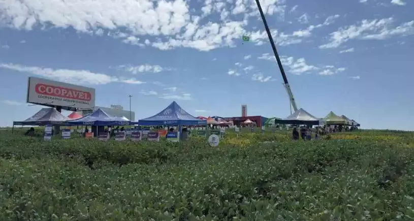 Coopavel reúne mais de 250 produtores no Sudoeste do Paraná em Dia de Campo